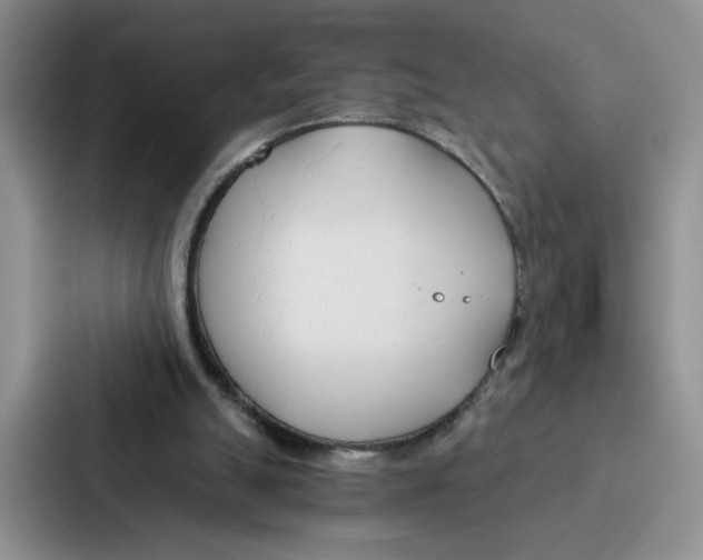 X0000086900055200705141650