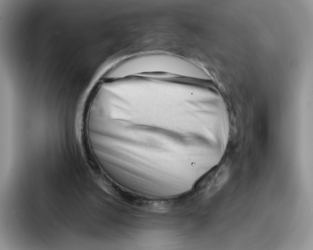 X0000086900056200705141650