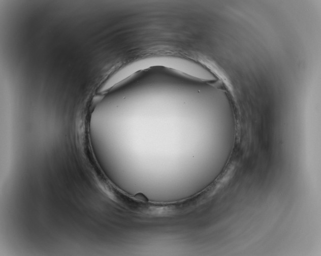 X0000086900057200705141651