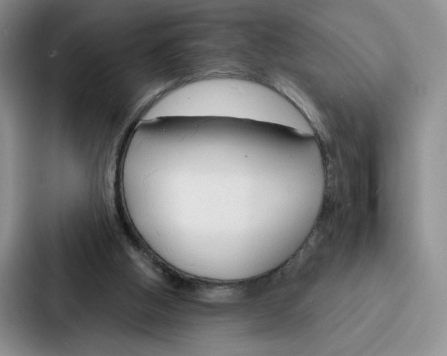 X0000086900058200705141651