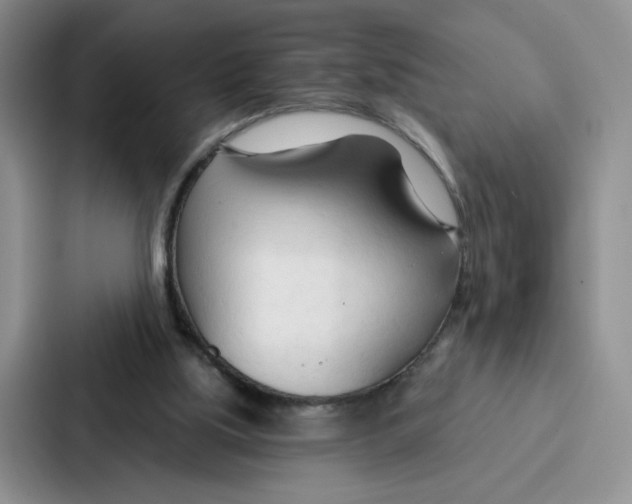 X0000086900059200705141651