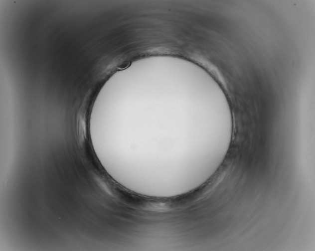 X0000086900061200705141651