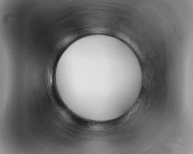 X0000086900062200705141651