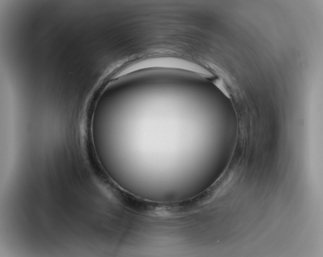 X0000086900064200705141651