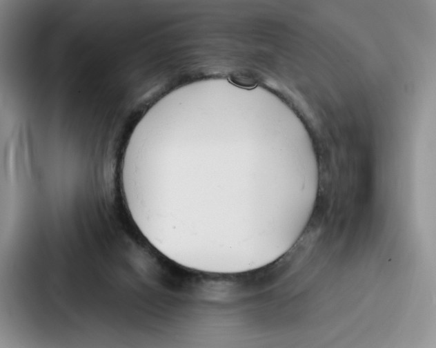 X0000086900066200705141651