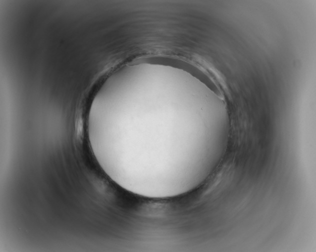 X0000086900067200705141651