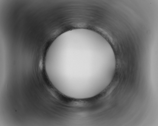 X0000086900069200705141651