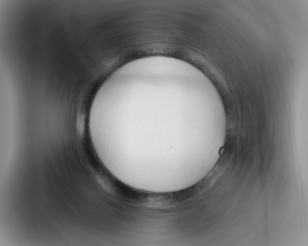 X0000086900070200705141651