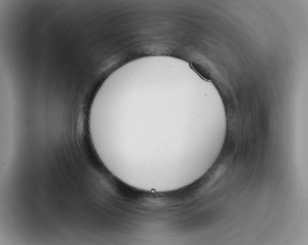 X0000086900071200705141651