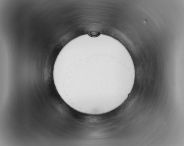 X0000086900073200705141651