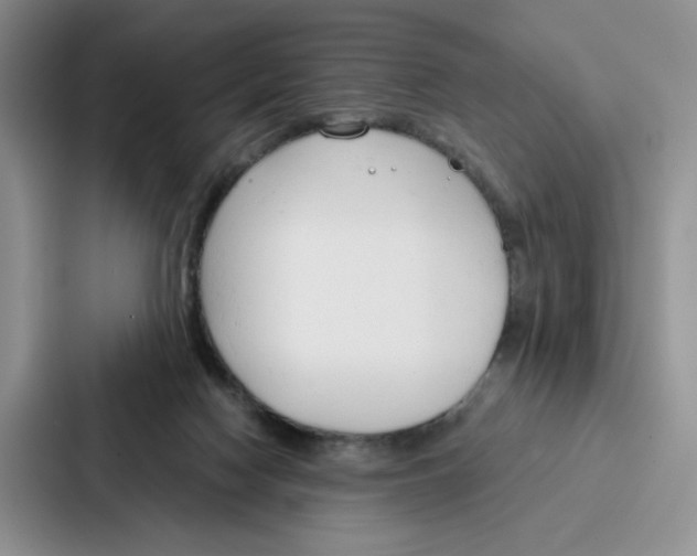 X0000086900074200705141651