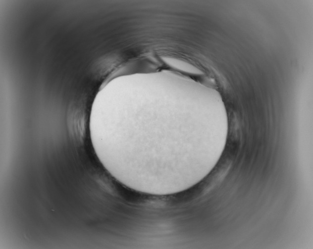 X0000086900076200705141651