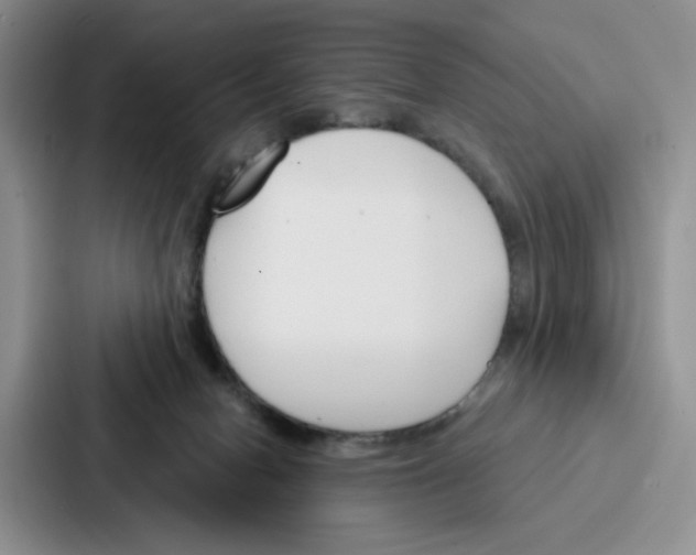 X0000086900078200705141651