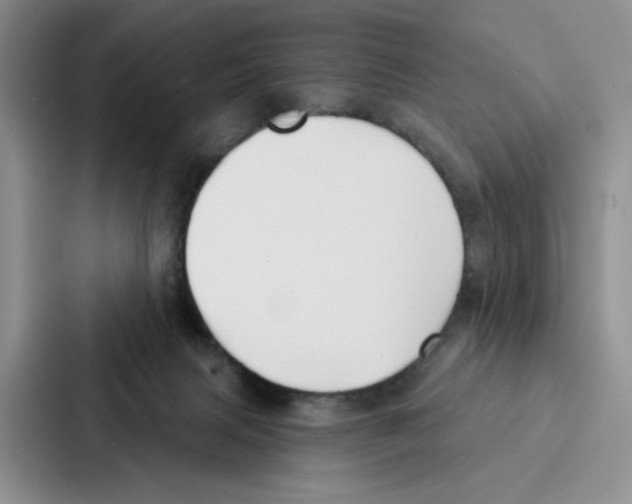 X0000086900079200705141651