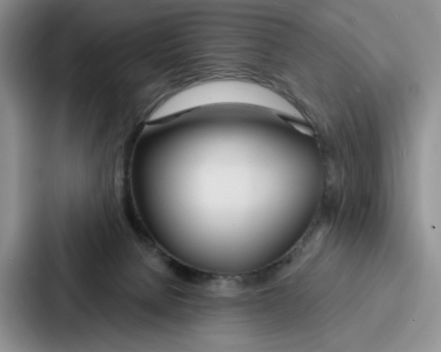 X0000086900080200705141651