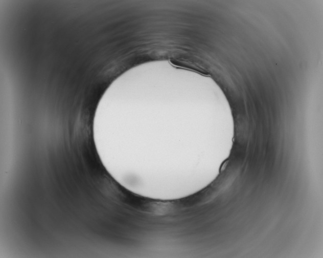 X0000086900085200705141651