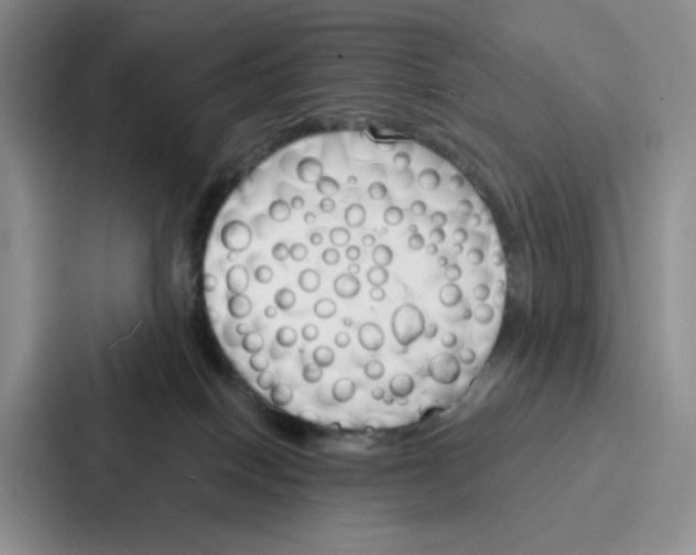 X0000086900086200705141651