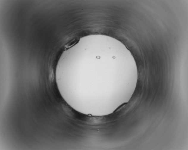 X0000086900089200705141651