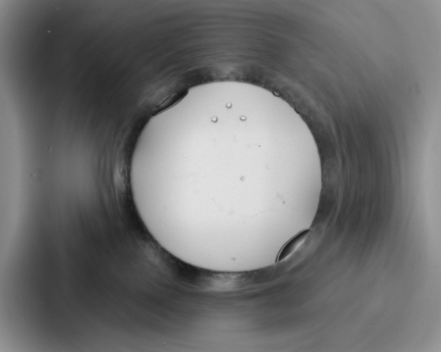 X0000086900090200705141651