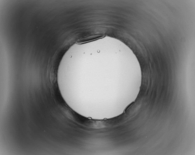 X0000086900091200705141651