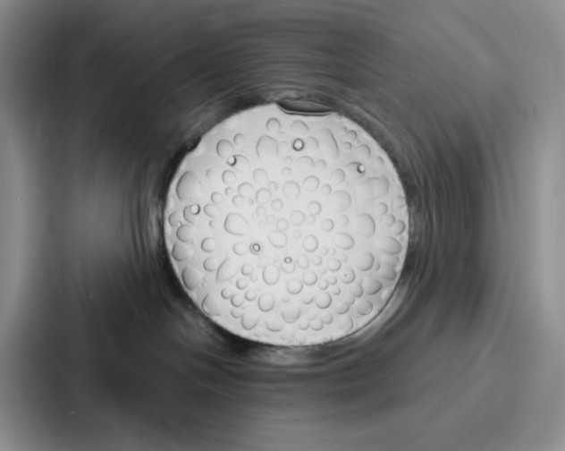 X0000086900094200705141651