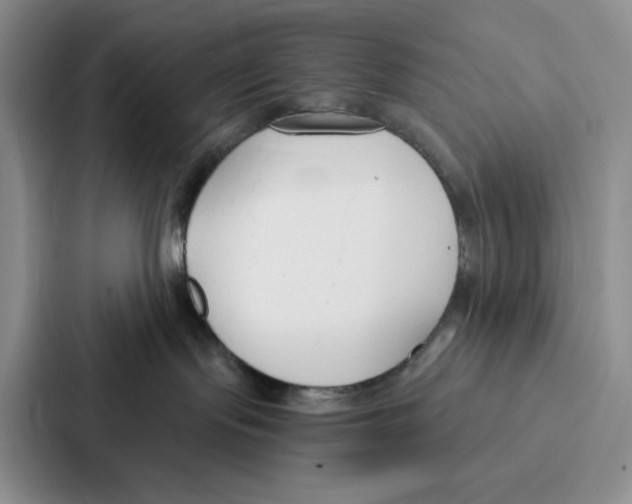 X0000086900095200705141651