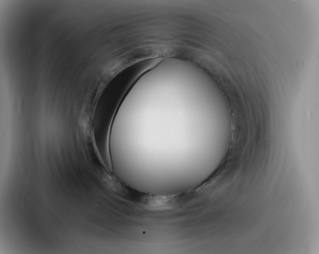 X0000086900096200705141651