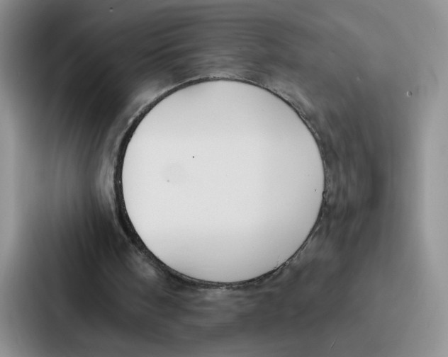 X0000086900098200705141650