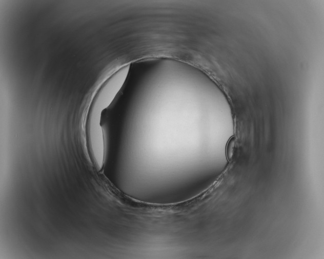 X0000086900099200705141650