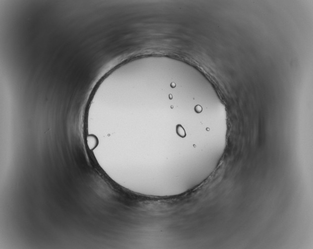 X0000086900100200705141650