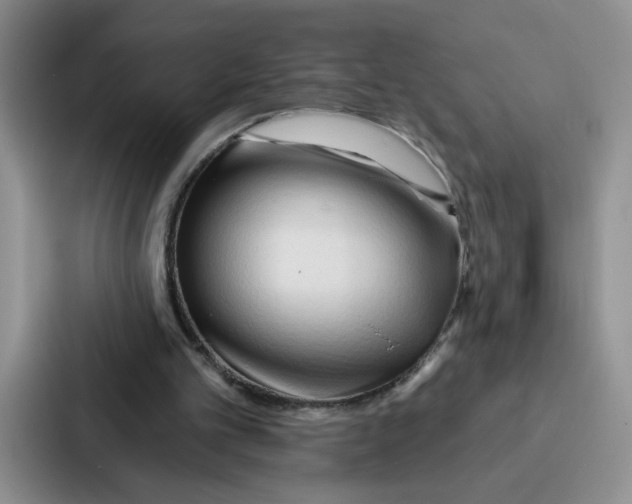 X0000086900101200705141650