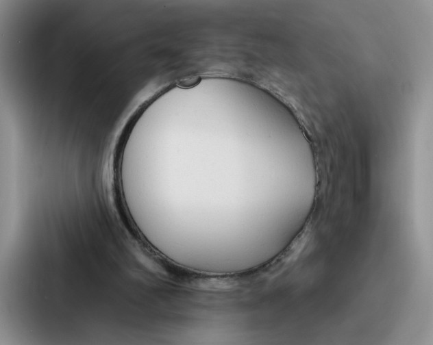 X0000086900102200705141650