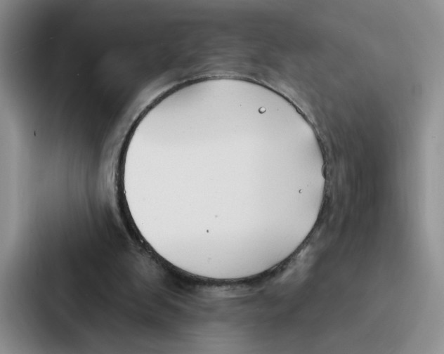 X0000086900103200705141650