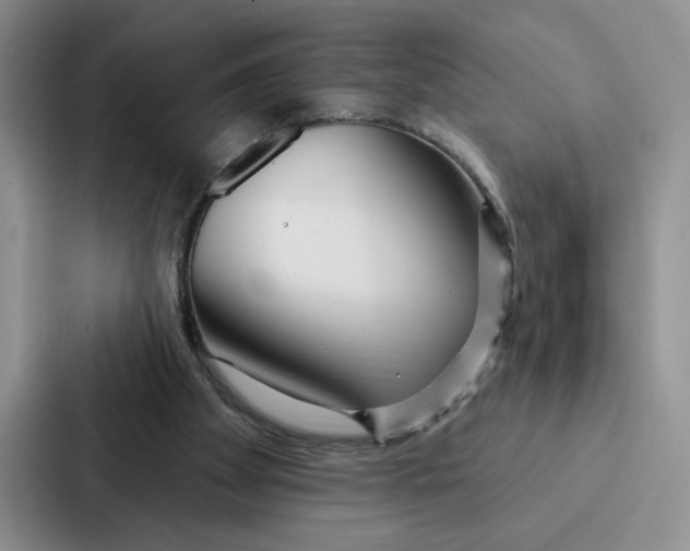 X0000086900105200705141650