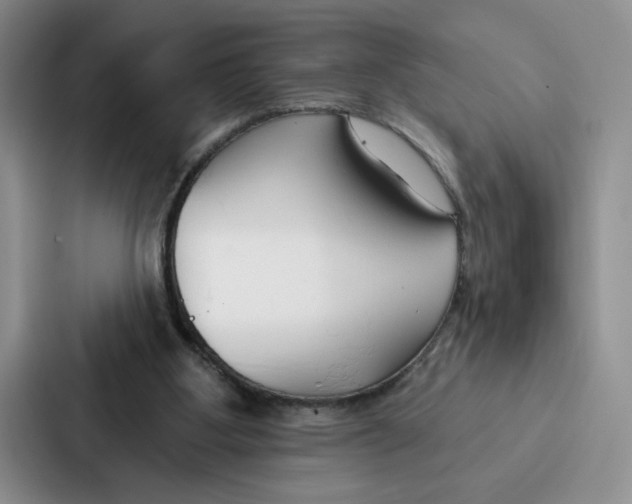 X0000086900107200705141650