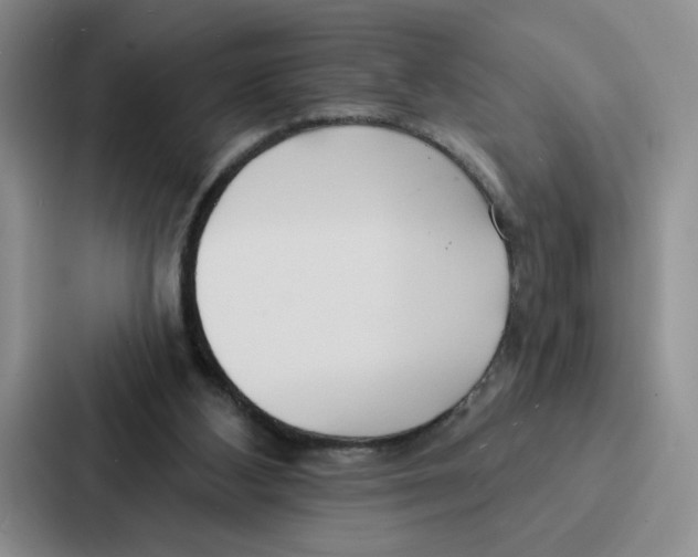 X0000086900108200705141650