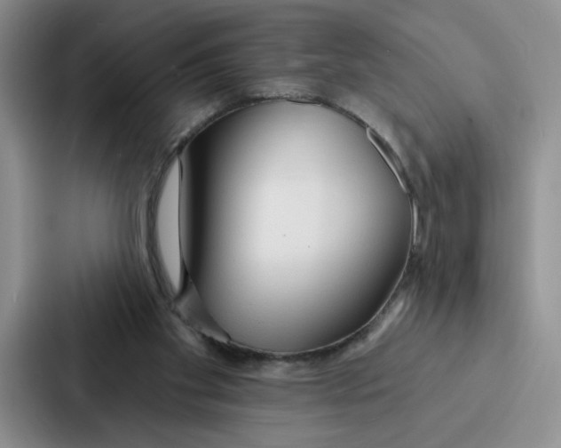 X0000086900109200705141650