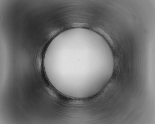 X0000086900110200705141650