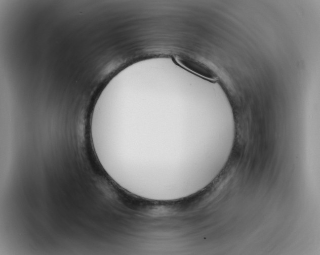 X0000086900111200705141650