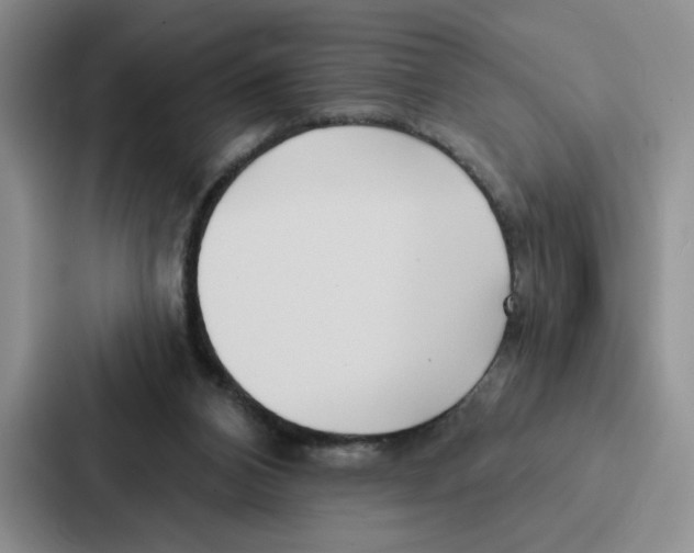 X0000086900112200705141650