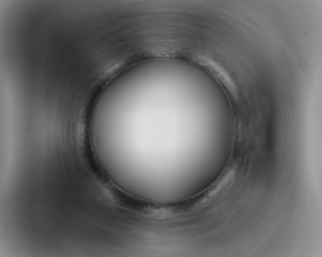 X0000086900113200705141650