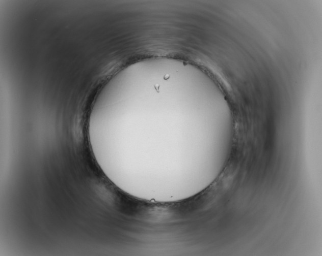 X0000086900114200705141650