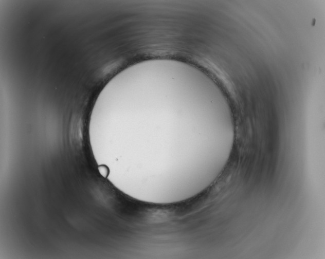 X0000086900115200705141650