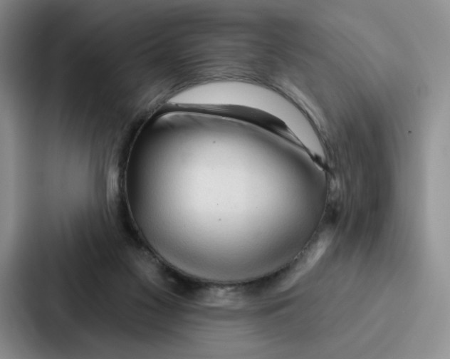 X0000086900117200705141650