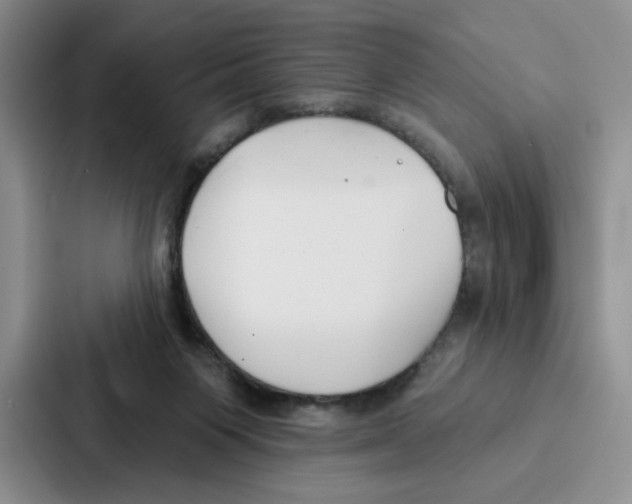 X0000086900119200705141650