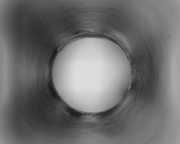 X0000086900121200705141650