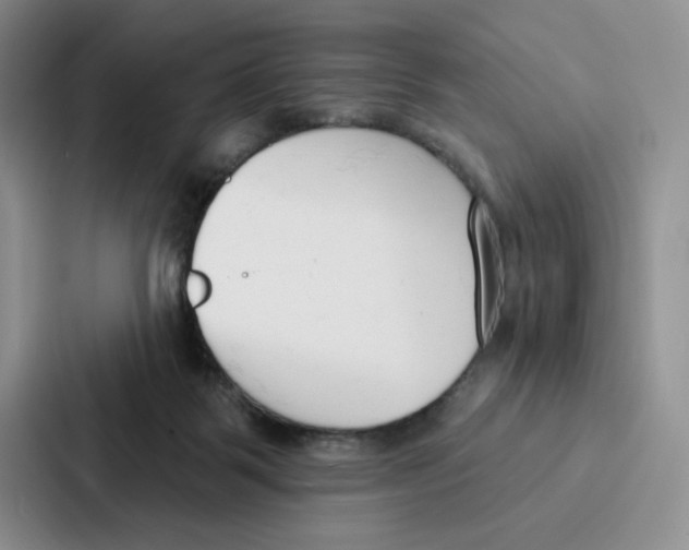 X0000086900123200705141650