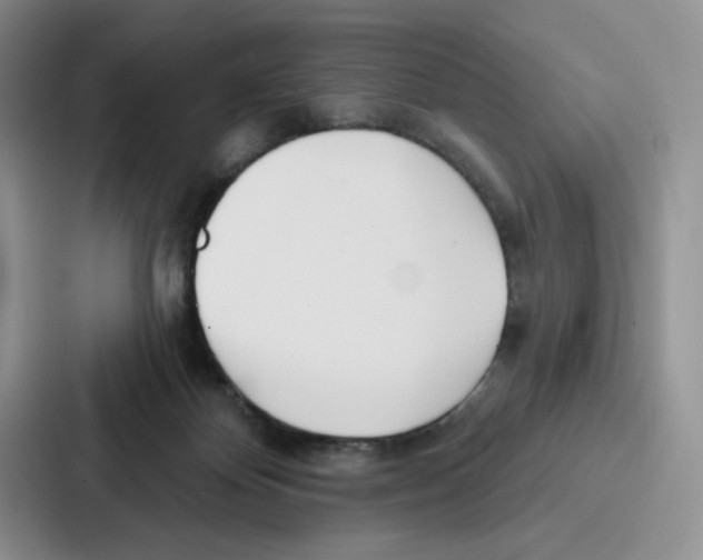 X0000086900124200705141650