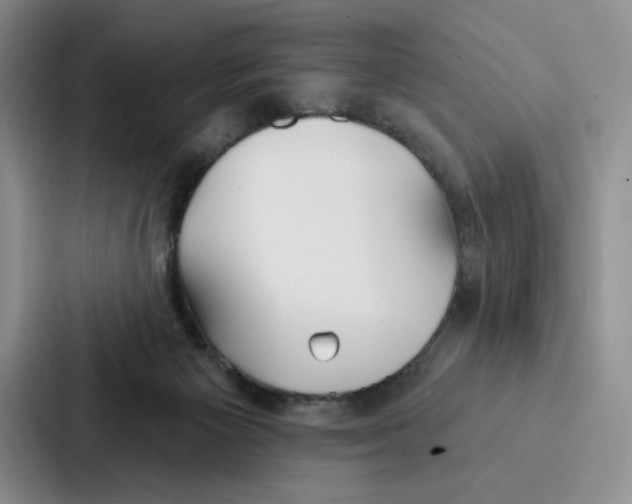 X0000086900125200705141650