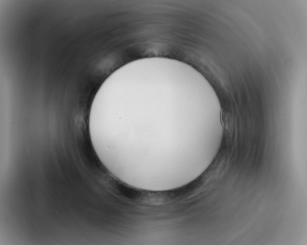 X0000086900127200705141650